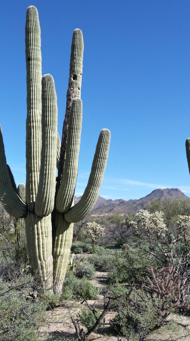 20150301_093823_Richtone(HDR)