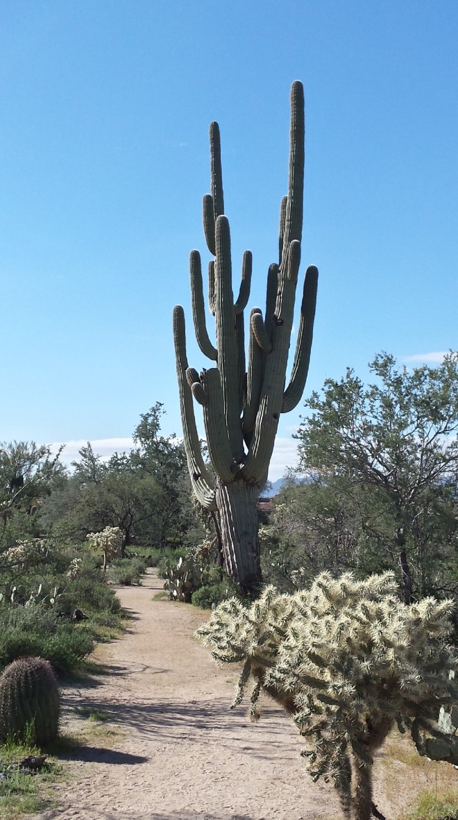 20150301_094616_Richtone(HDR)