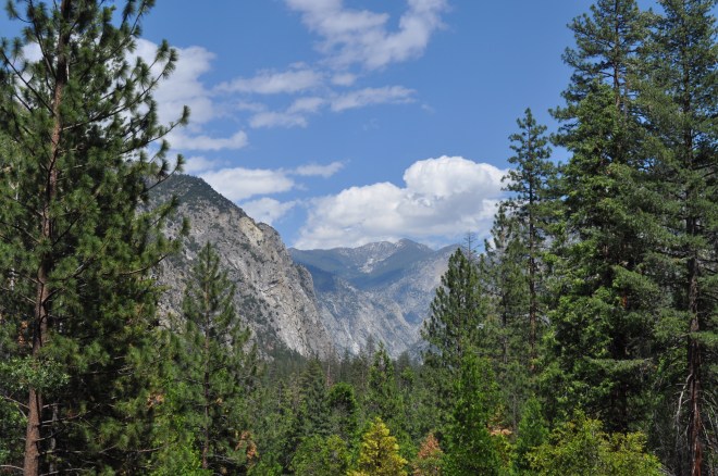 Kings Canyon National Park