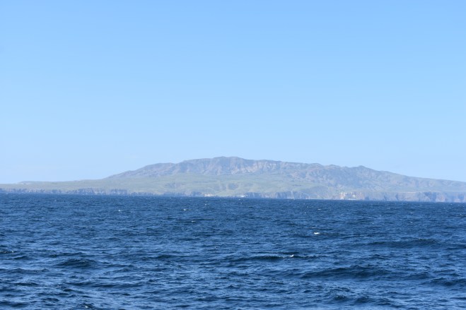 DSC_0527
