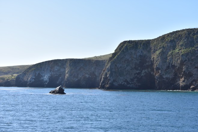 DSC_0563