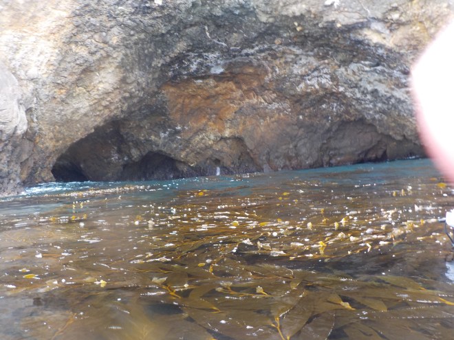 DSCN0237