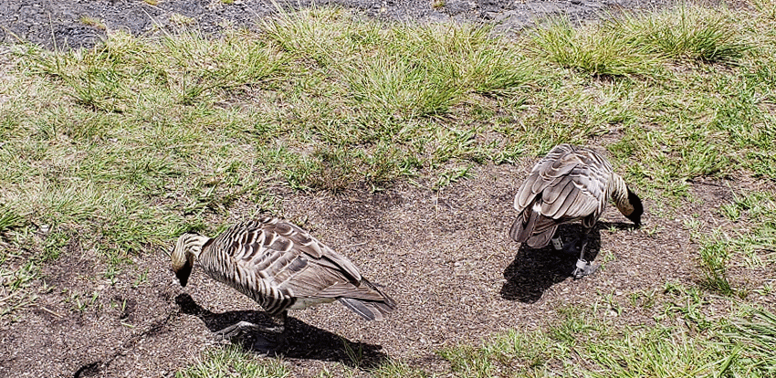 20190510_133241-animation